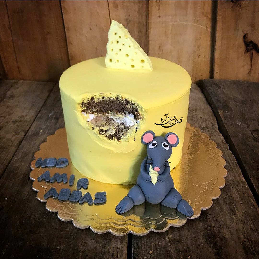کیک فانتزی - کیک موش شکمو فانتزی - کیک پنیری