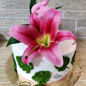 کیک دخترانه فلامینگو