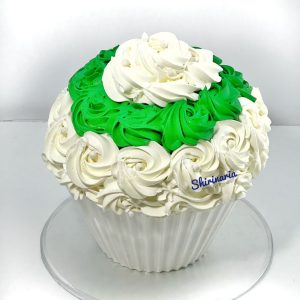 باگر کیک سبز و سفید
