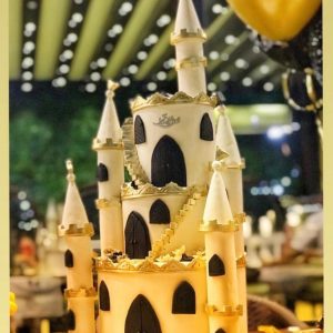 کیک تولد قلعه