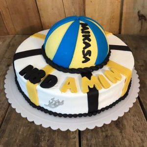 کیک تولد مردانه والیبال