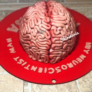 کیک تولد مغز